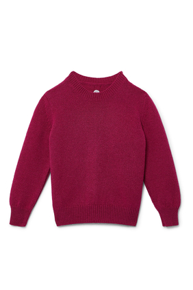 Dewey Crewneck Sweater